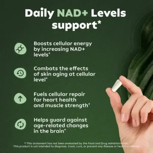 NAD+ Nicotinamide Riboside & Resveratrol